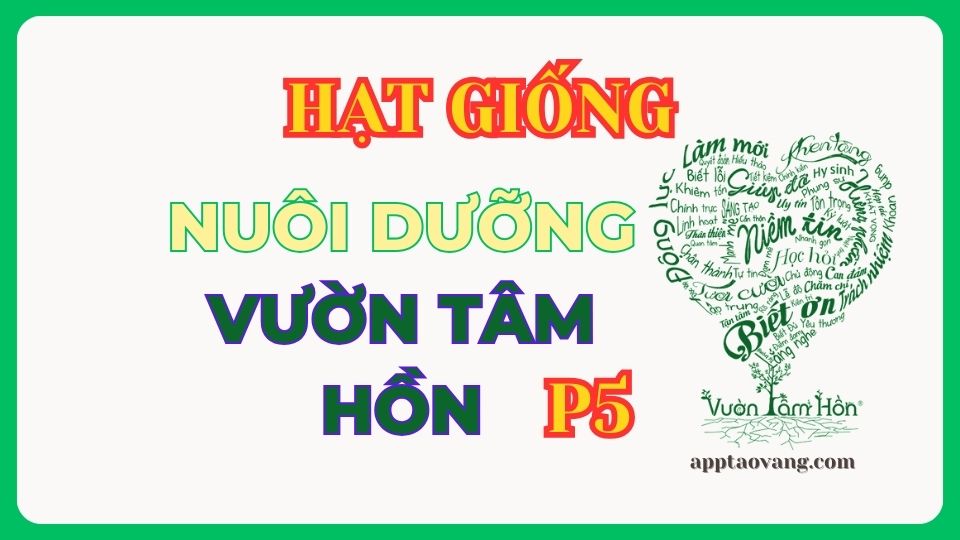 hat-giong-nuoi-duong-vuon-tam-hon-t9